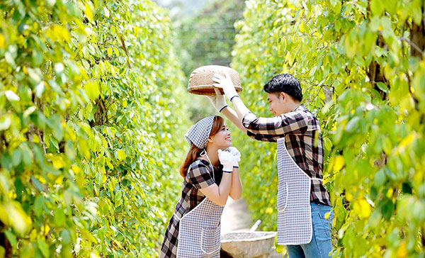 Du khách check in tại Vườn tiêu Suối Đá