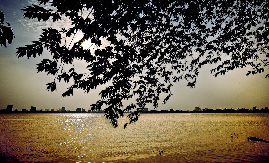 Mặt nước hồ Tây chiều thu