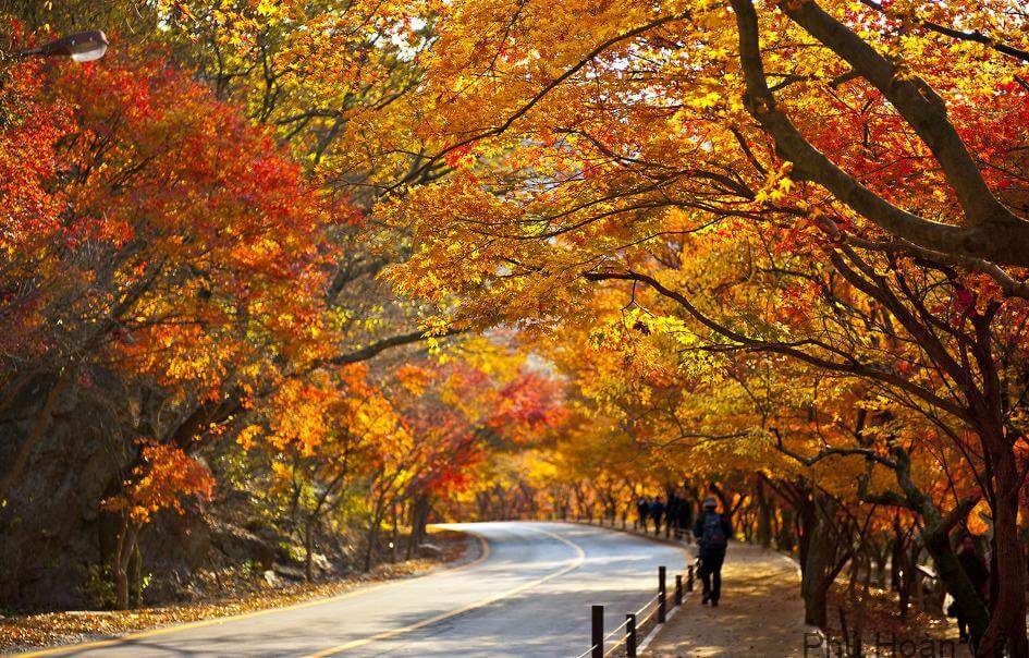 Vườn quốc gia Naejangsan, Jeolla Buk Do