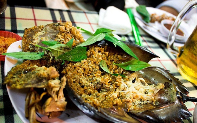 Sam biển - món ăn không thể bỏ qua khi thưởng thức ẩm thực Hạ Long