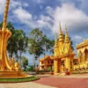 KHÁM PHÁ TRÀ VINH 1 NGÀY 1
